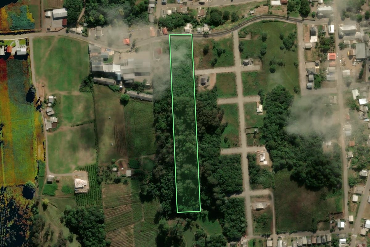 Imagem de satélite do imóvel rural em Nova Roma do Sul (RS), com o contorno declarado no CAR desenhado por cima.