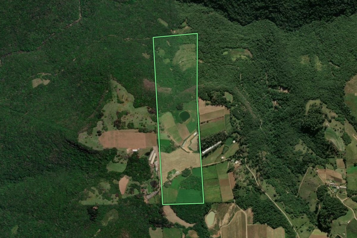 Imagem de satélite do imóvel rural em Nova Roma do Sul (RS), com o contorno declarado no CAR desenhado por cima.