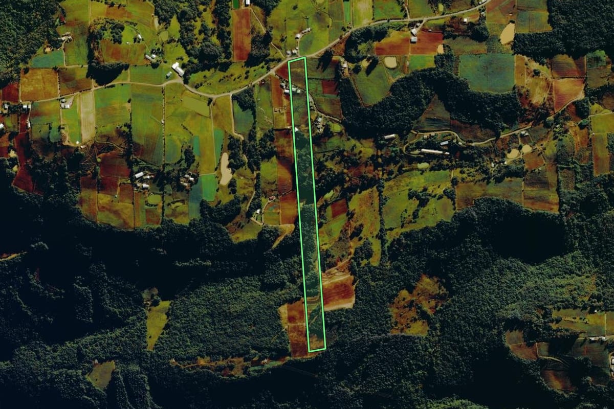 Imagem de satélite do imóvel rural em Nova Roma do Sul (RS), com o contorno declarado no CAR desenhado por cima.