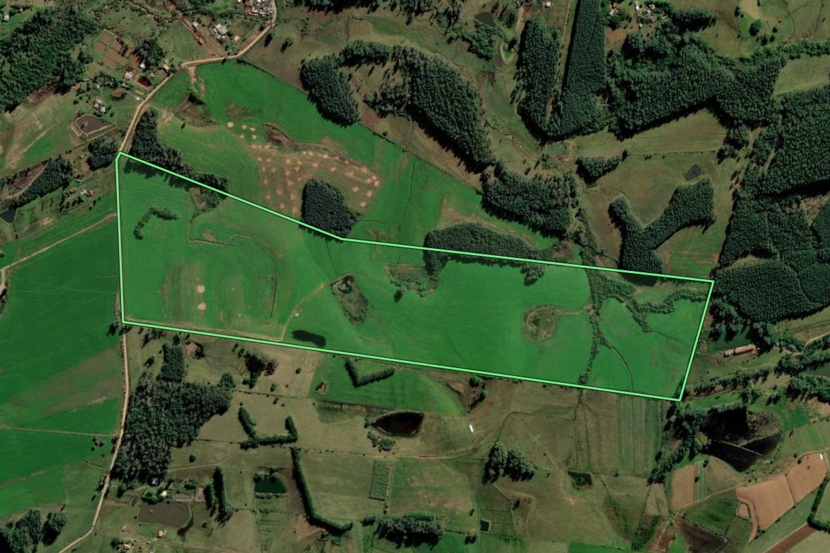 Imagem de satélite do imóvel rural em Nova Santa Rita (RS), com o contorno declarado no CAR desenhado por cima.
