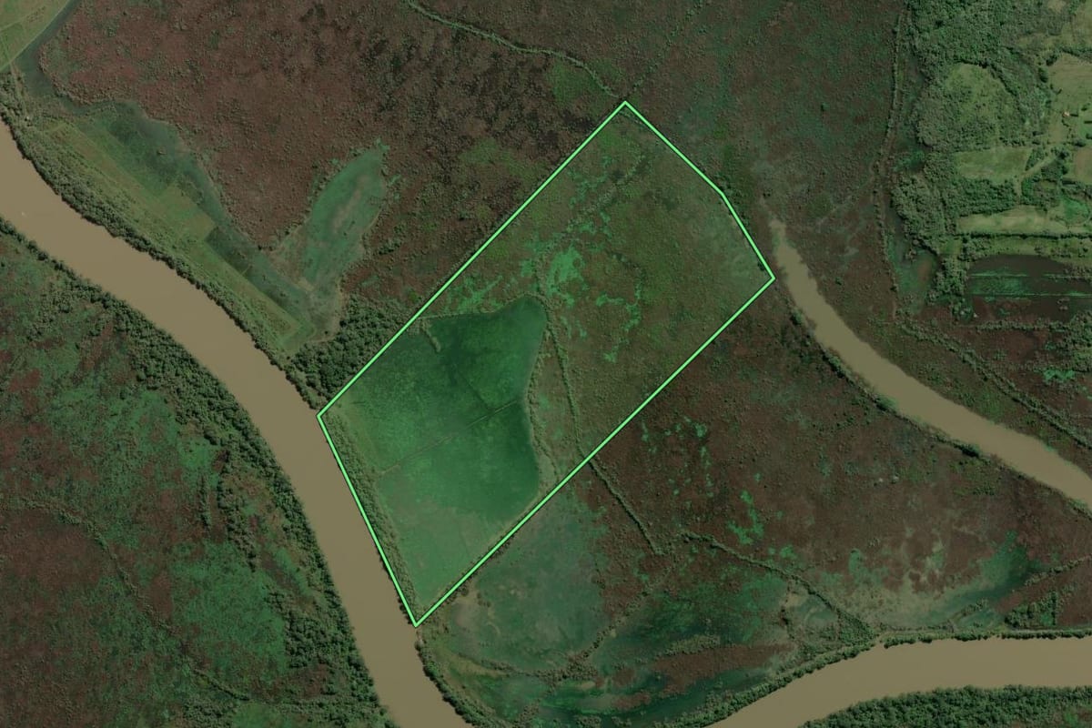 Imagem de satélite do imóvel rural em Nova Santa Rita (RS), com o contorno declarado no CAR desenhado por cima.