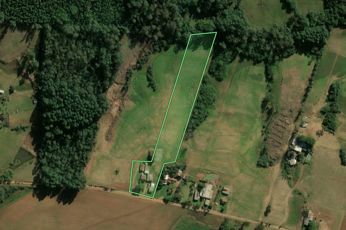 Imagem de satélite do imóvel rural em Novo Cabrais (RS), com o contorno declarado no CAR desenhado por cima.