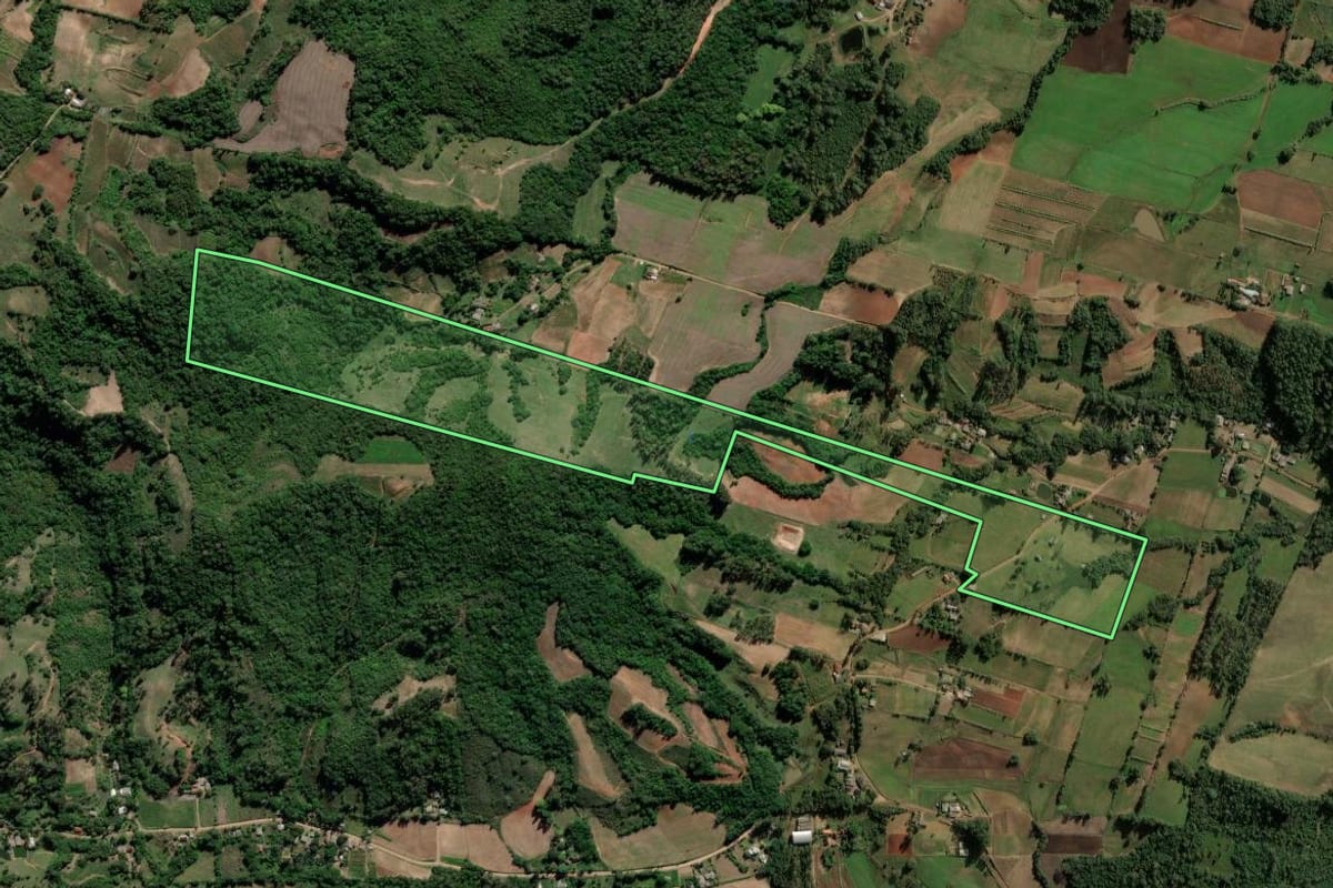 Imagem de satélite do imóvel rural em Novo Cabrais (RS), com o contorno declarado no CAR desenhado por cima.
