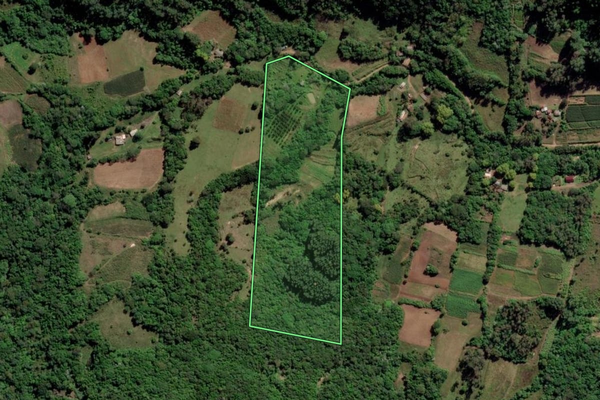 Imagem de satélite do imóvel rural em Novo Cabrais (RS), com o contorno declarado no CAR desenhado por cima.