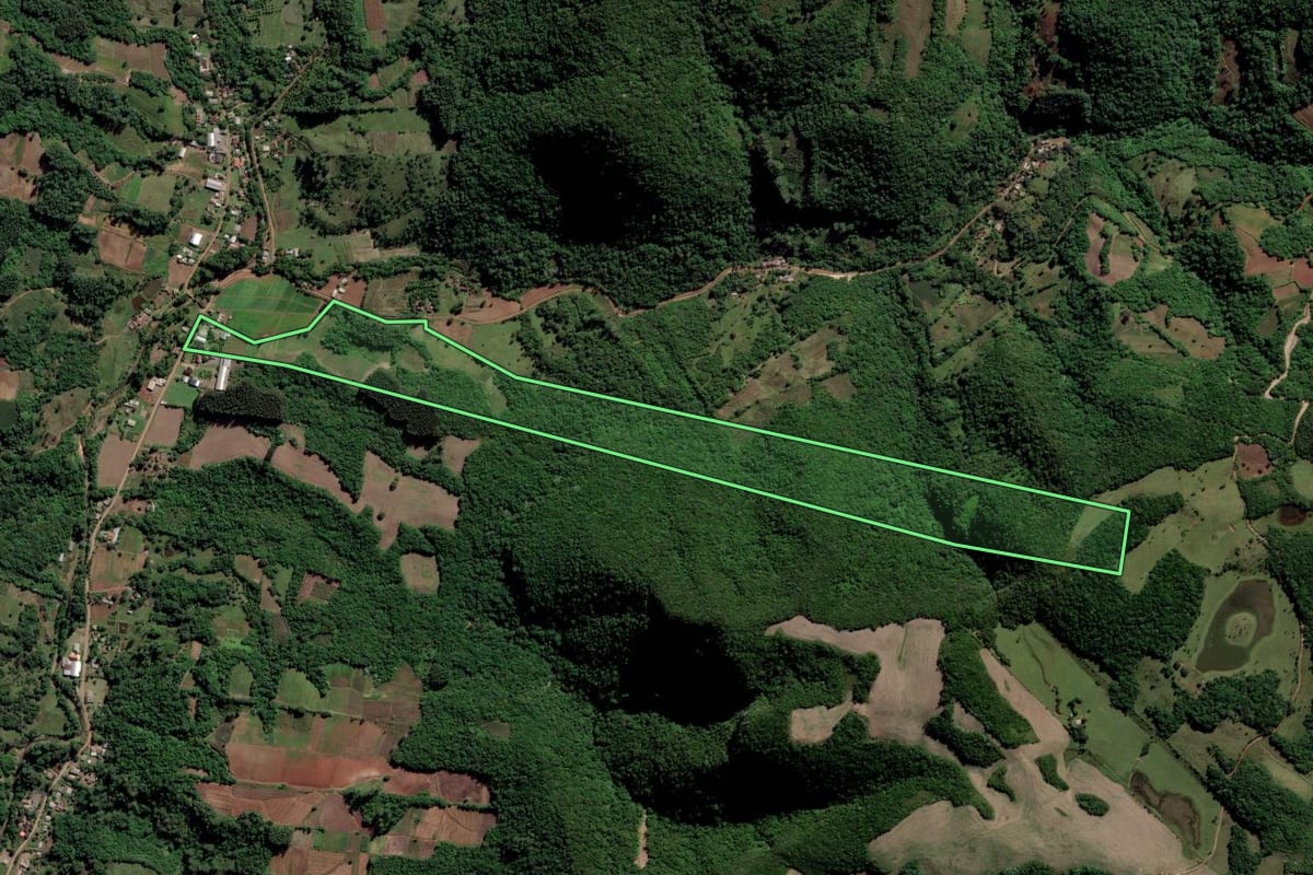 Imagem de satélite do imóvel rural em Novo Cabrais (RS), com o contorno declarado no CAR desenhado por cima.