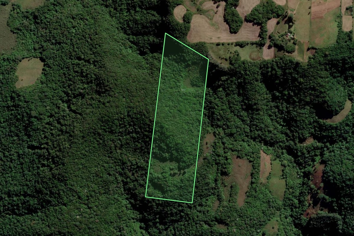 Imagem de satélite do imóvel rural em Novo Cabrais (RS), com o contorno declarado no CAR desenhado por cima.