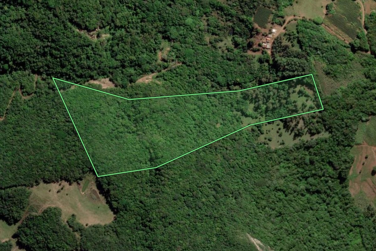 Imagem de satélite do imóvel rural em Novo Cabrais (RS), com o contorno declarado no CAR desenhado por cima.