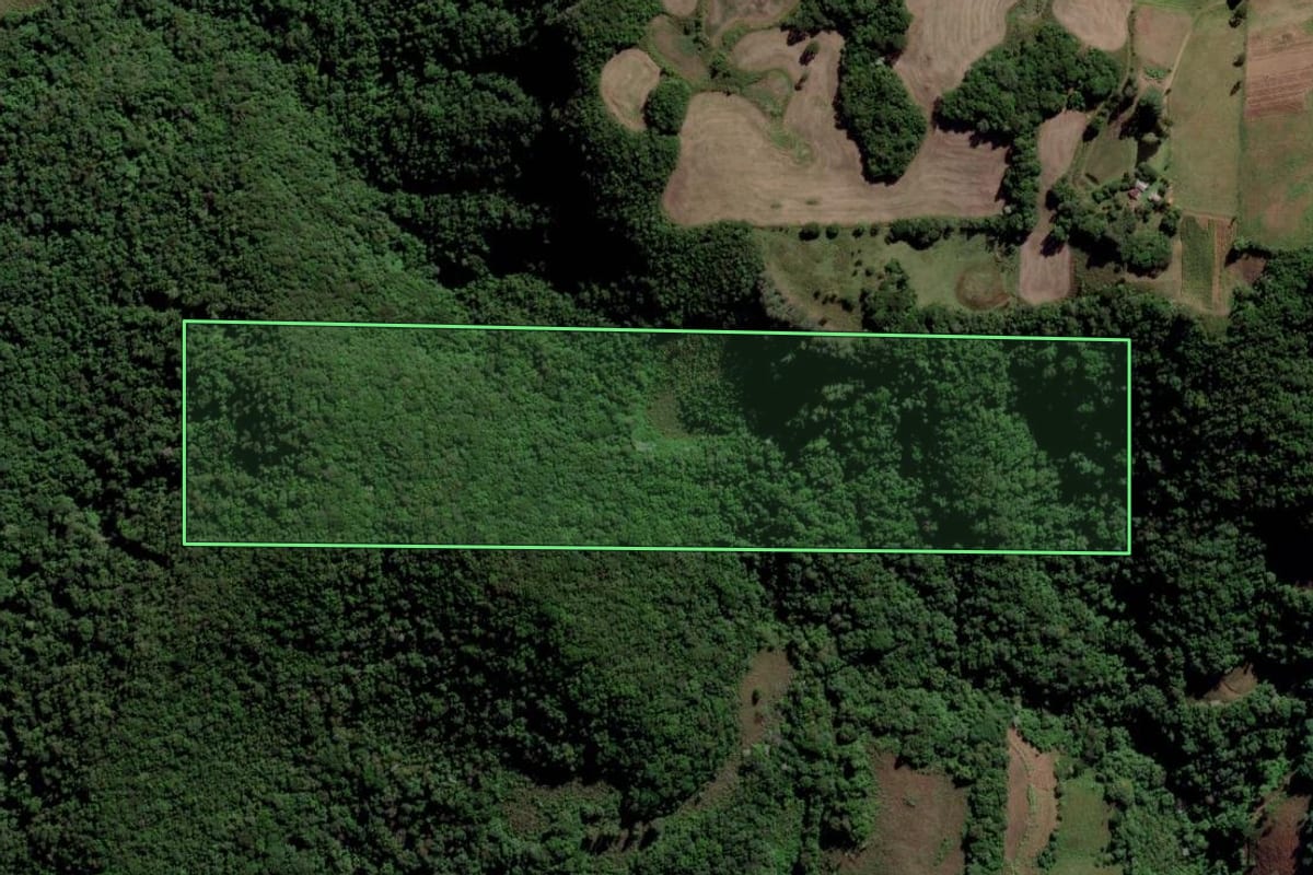 Imagem de satélite do imóvel rural em Novo Cabrais (RS), com o contorno declarado no CAR desenhado por cima.