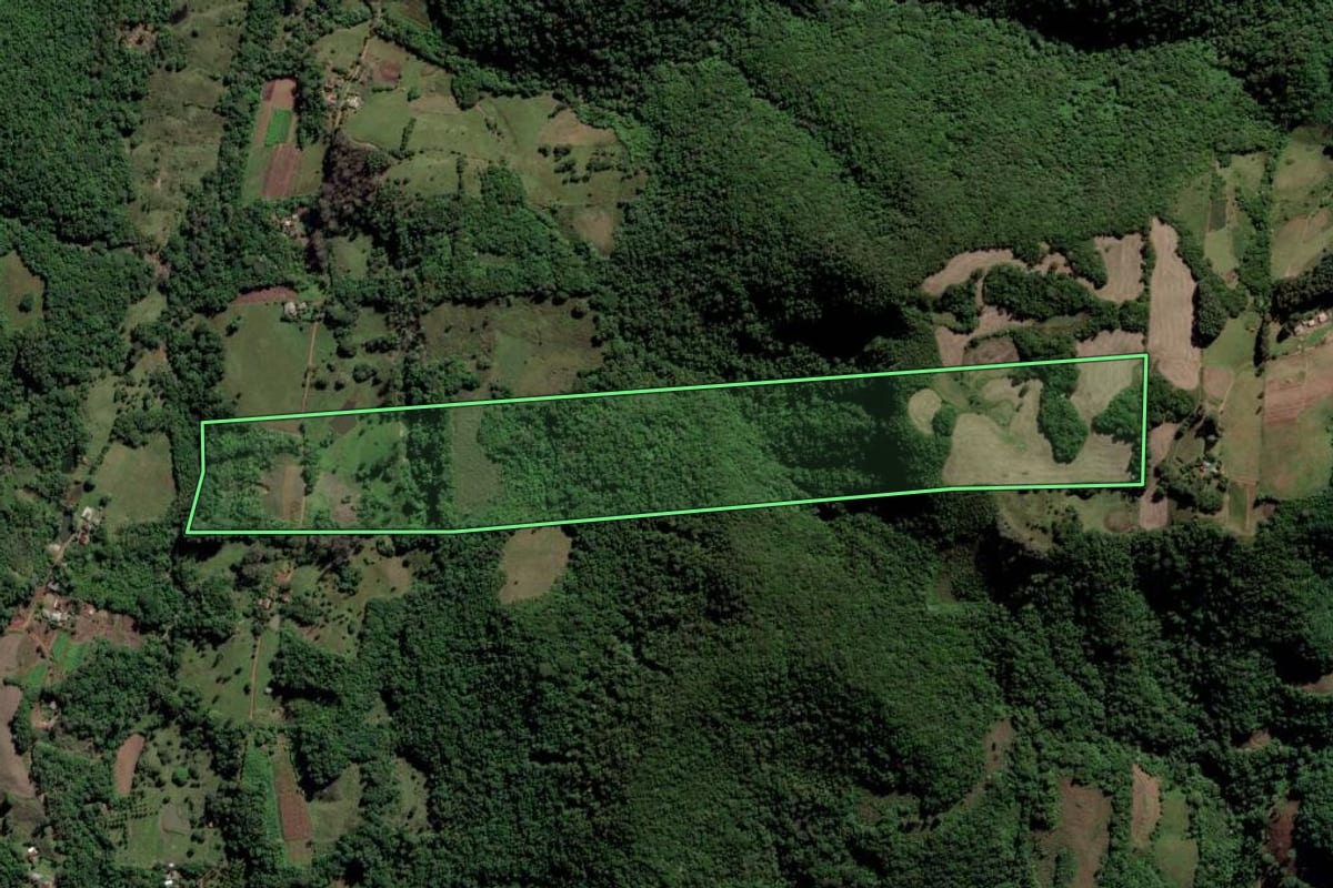 Imagem de satélite do imóvel rural em Novo Cabrais (RS), com o contorno declarado no CAR desenhado por cima.