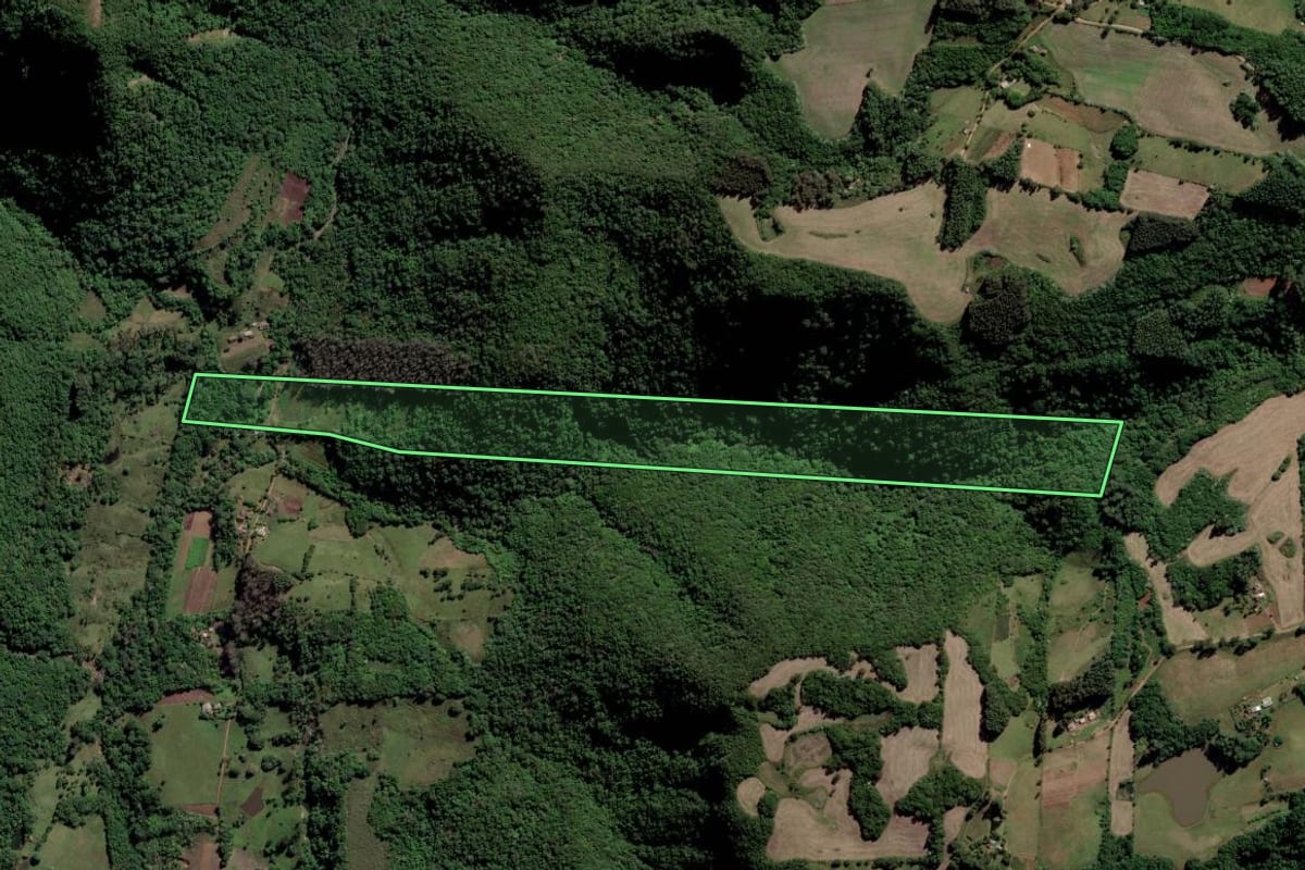 Imagem de satélite do imóvel rural em Novo Cabrais (RS), com o contorno declarado no CAR desenhado por cima.