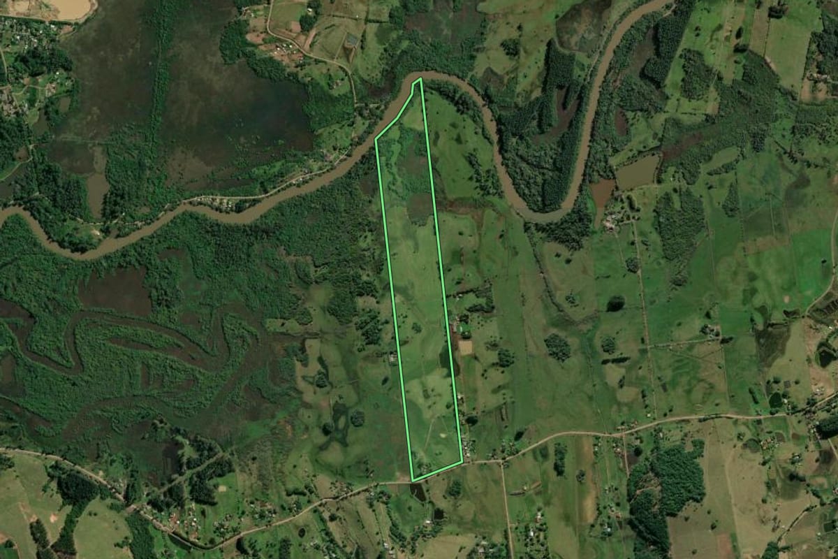 Imagem de satélite do imóvel rural em Novo Hamburgo (RS), com o contorno declarado no CAR desenhado por cima.