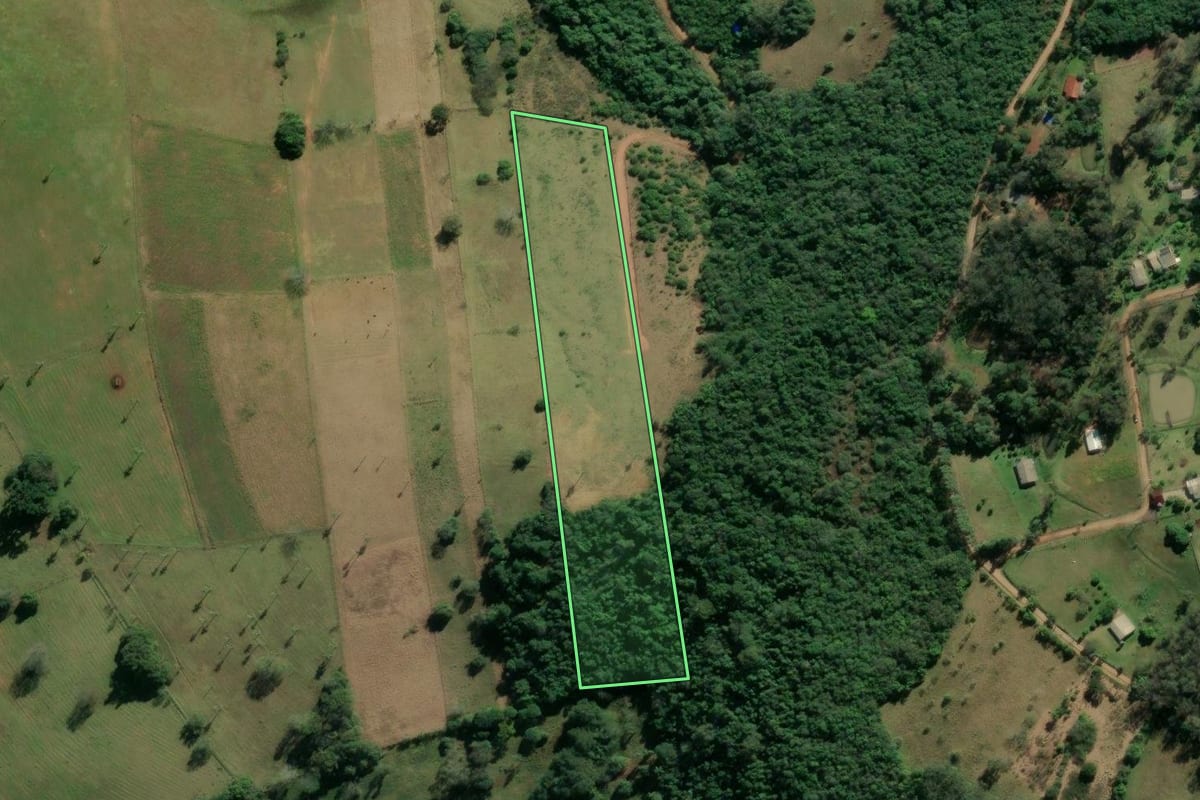 Imagem de satélite do imóvel rural em Novo Hamburgo (RS), com o contorno declarado no CAR desenhado por cima.