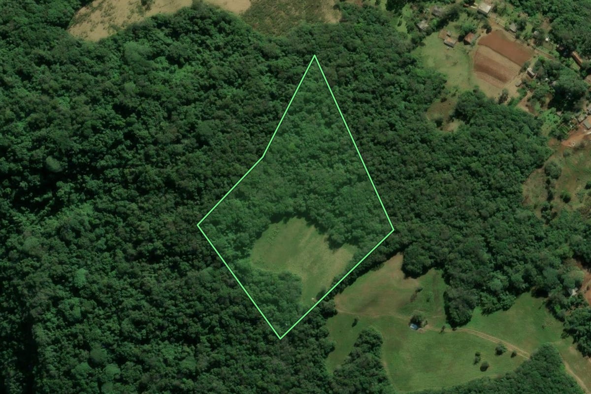 Imagem de satélite do imóvel rural em Novo Hamburgo (RS), com o contorno declarado no CAR desenhado por cima.