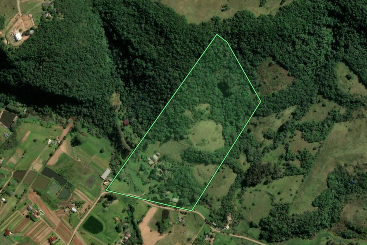 Imagem de satélite do imóvel rural em Novo Hamburgo (RS), com o contorno declarado no CAR desenhado por cima.