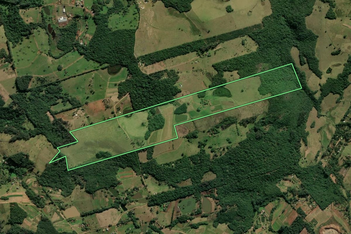 Imagem de satélite do imóvel rural em Novo Hamburgo (RS), com o contorno declarado no CAR desenhado por cima.