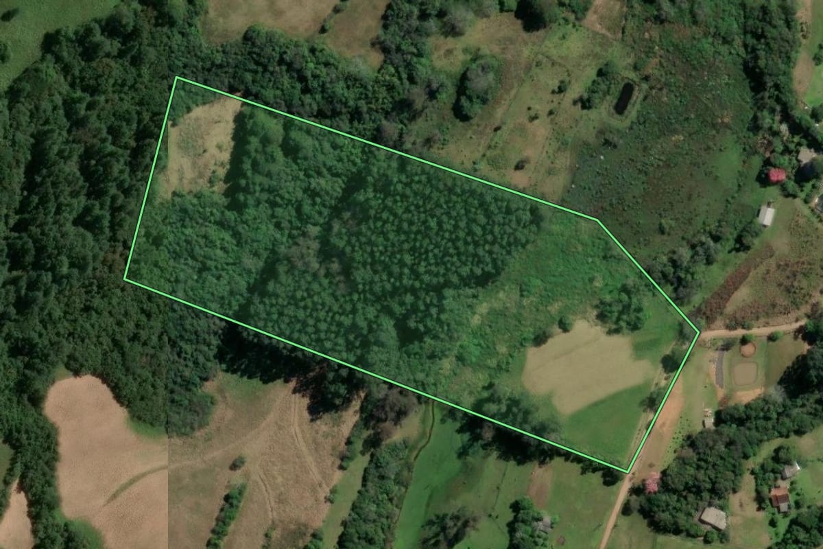Imagem de satélite do imóvel rural em Novo Hamburgo (RS), com o contorno declarado no CAR desenhado por cima.