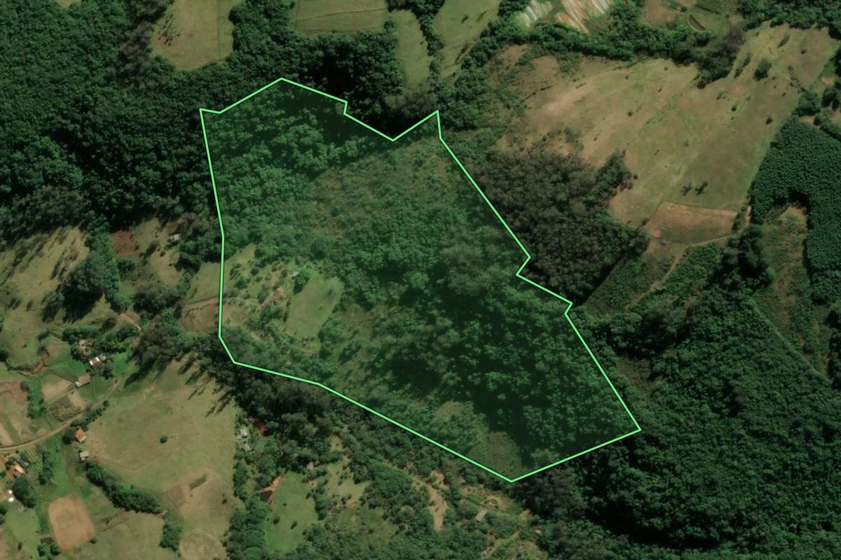 Imagem de satélite do imóvel rural em Novo Hamburgo (RS), com o contorno declarado no CAR desenhado por cima.