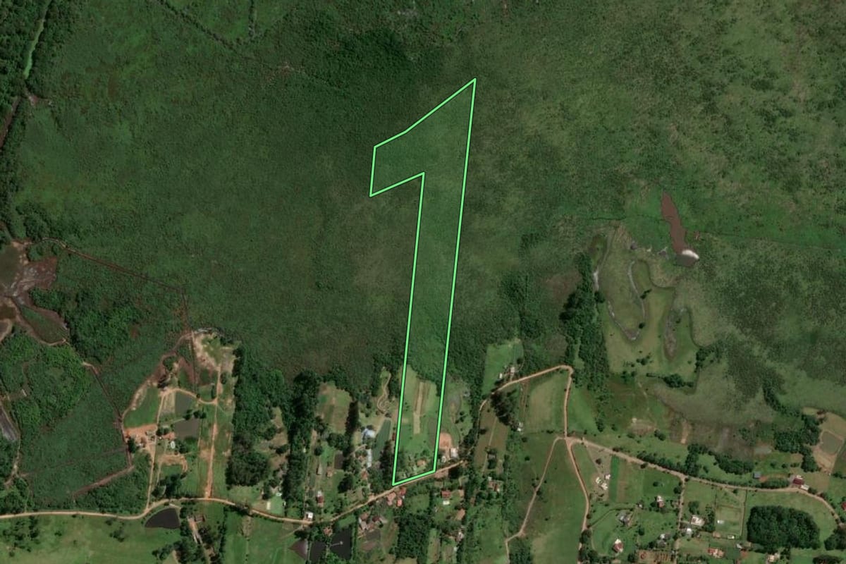 Imagem de satélite do imóvel rural em Novo Hamburgo (RS), com o contorno declarado no CAR desenhado por cima.