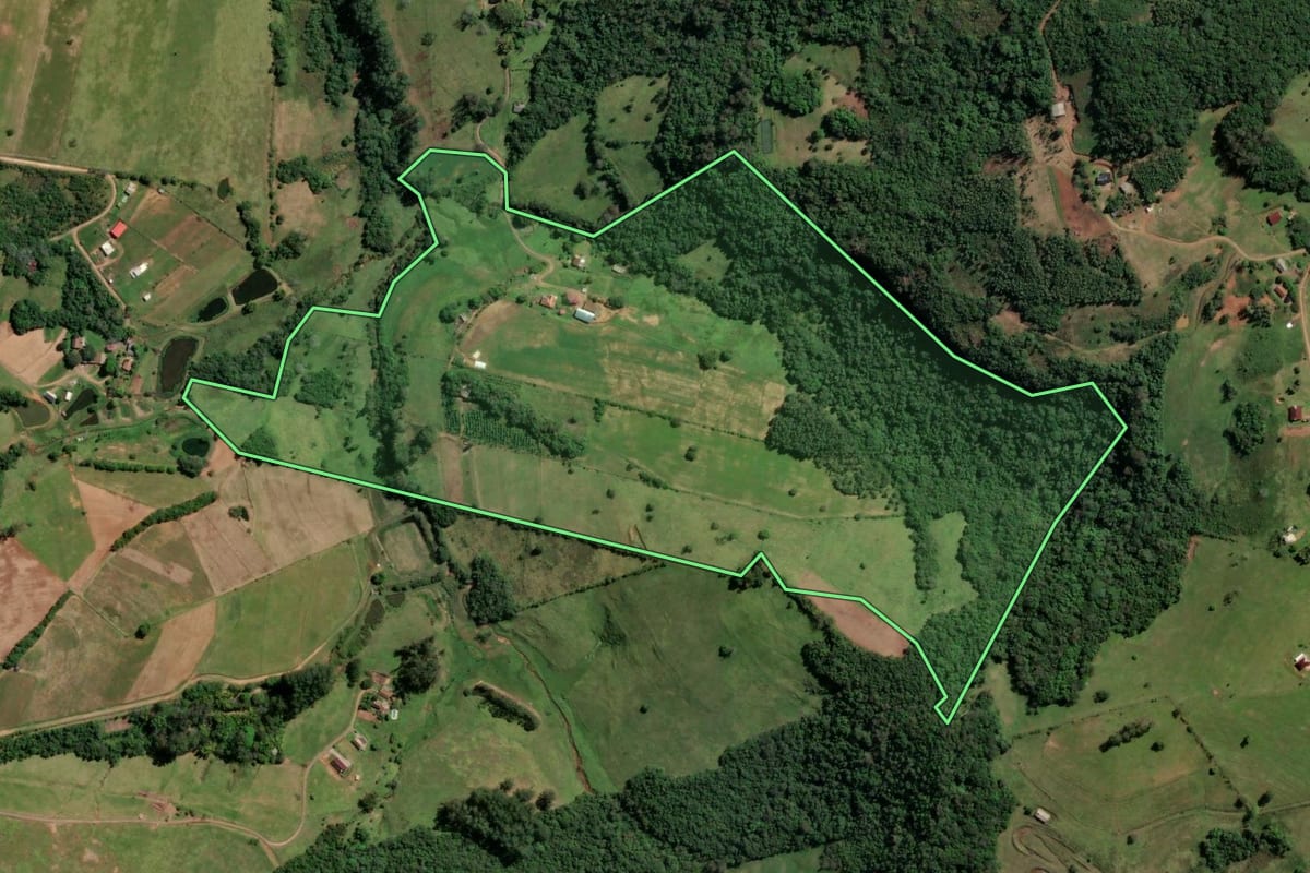 Imagem de satélite do imóvel rural em Novo Hamburgo (RS), com o contorno declarado no CAR desenhado por cima.