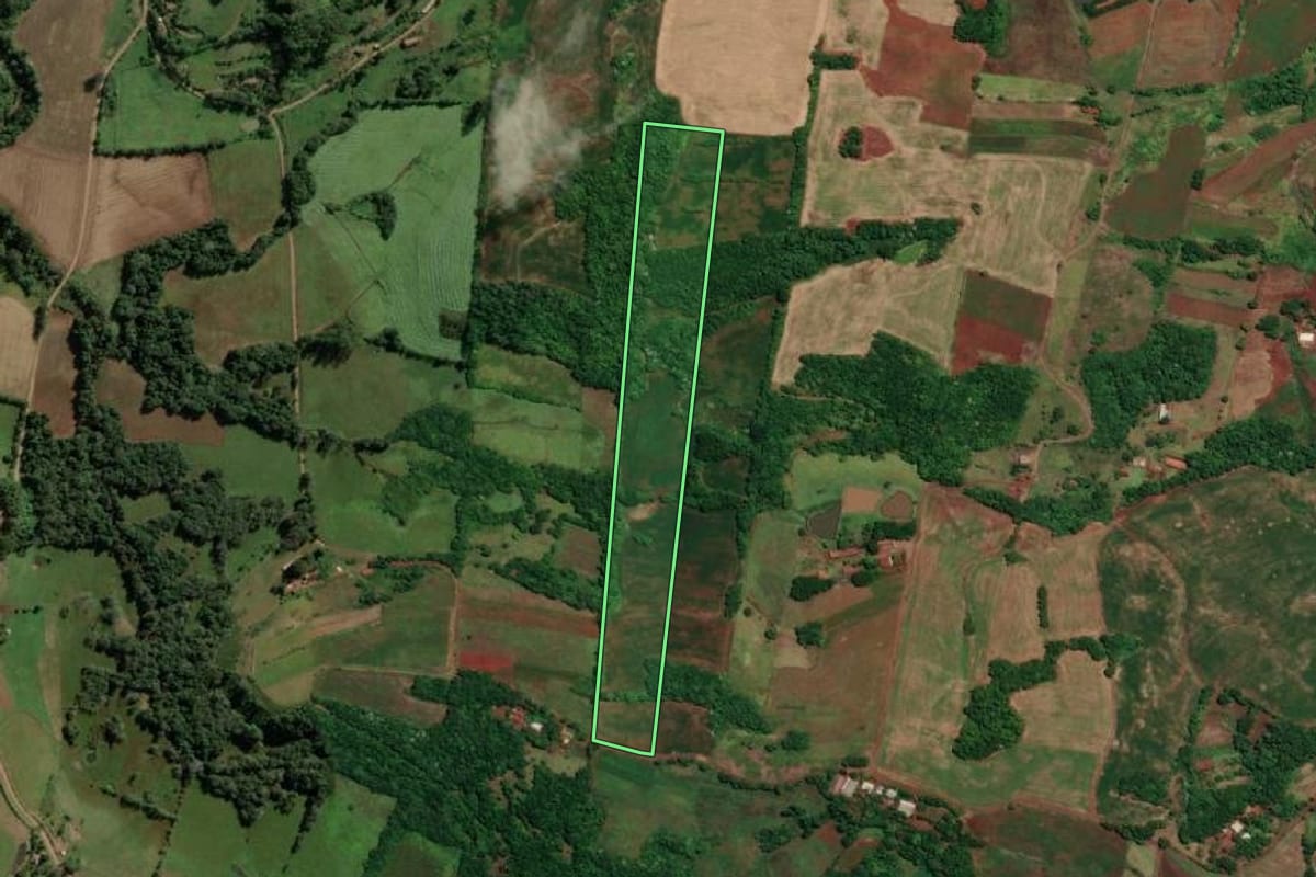 Imagem de satélite do imóvel rural em Novo Machado (RS), com o contorno declarado no CAR desenhado por cima.