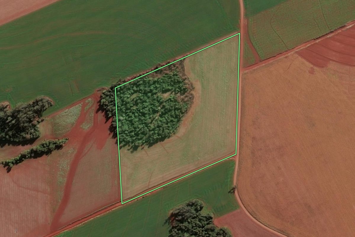 Imagem de satélite do imóvel rural em Novo Machado (RS), com o contorno declarado no CAR desenhado por cima.