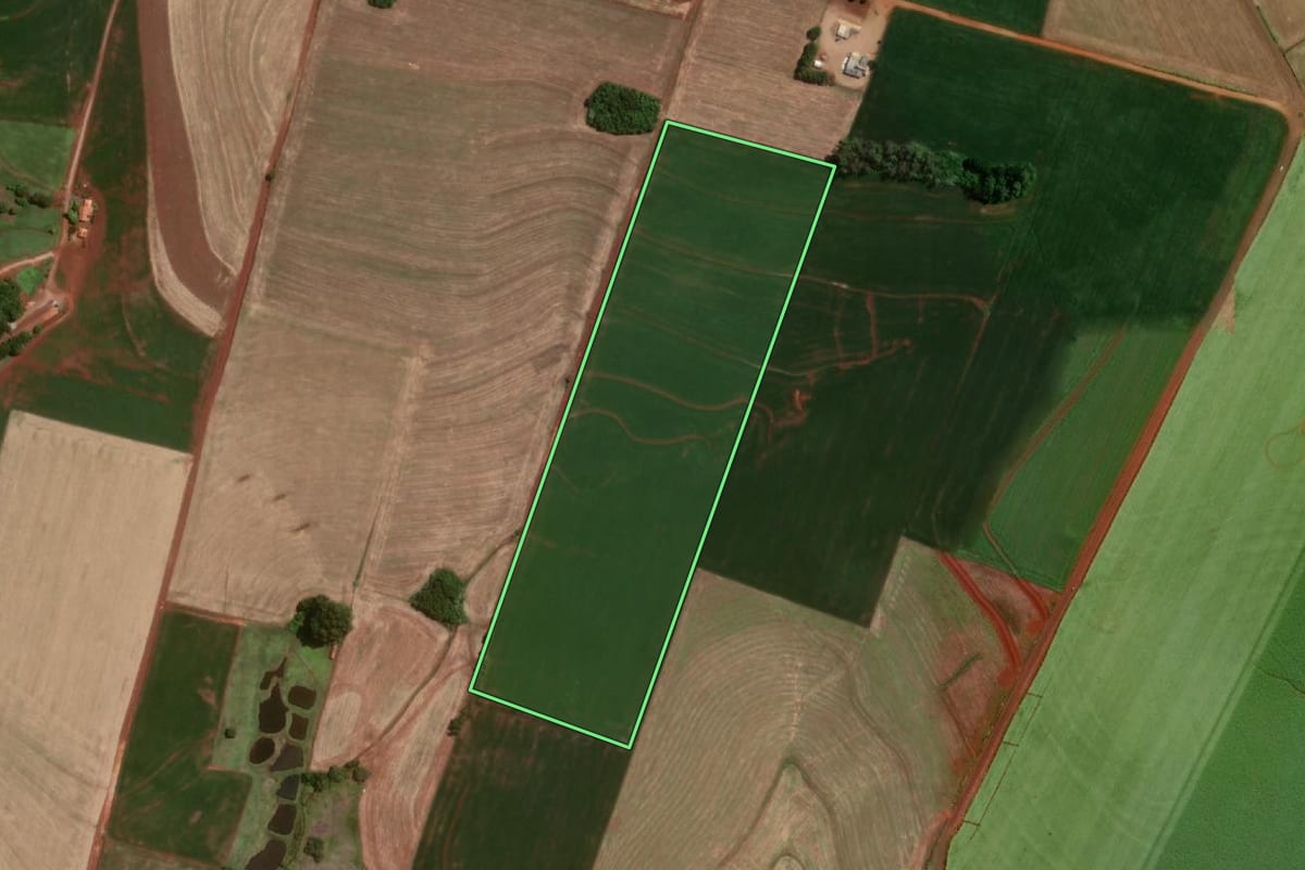 Imagem de satélite do imóvel rural em Novo Machado (RS), com o contorno declarado no CAR desenhado por cima.
