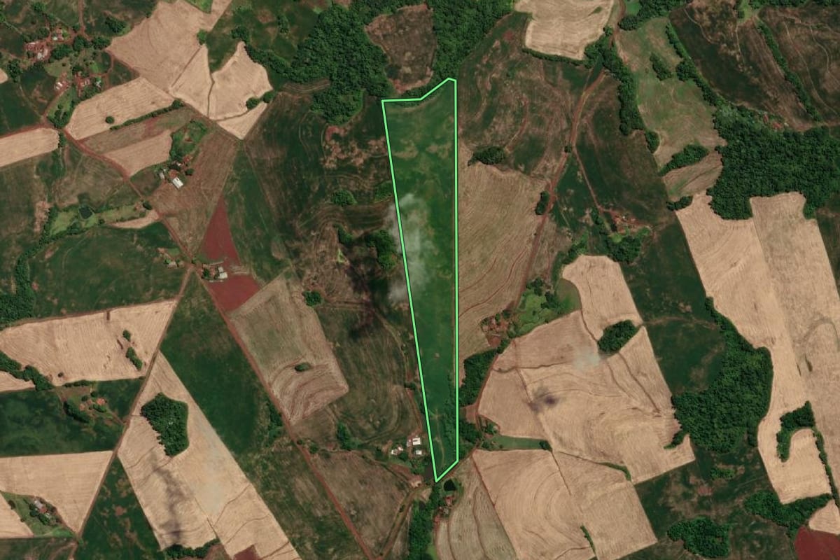 Imagem de satélite do imóvel rural em Novo Machado (RS), com o contorno declarado no CAR desenhado por cima.