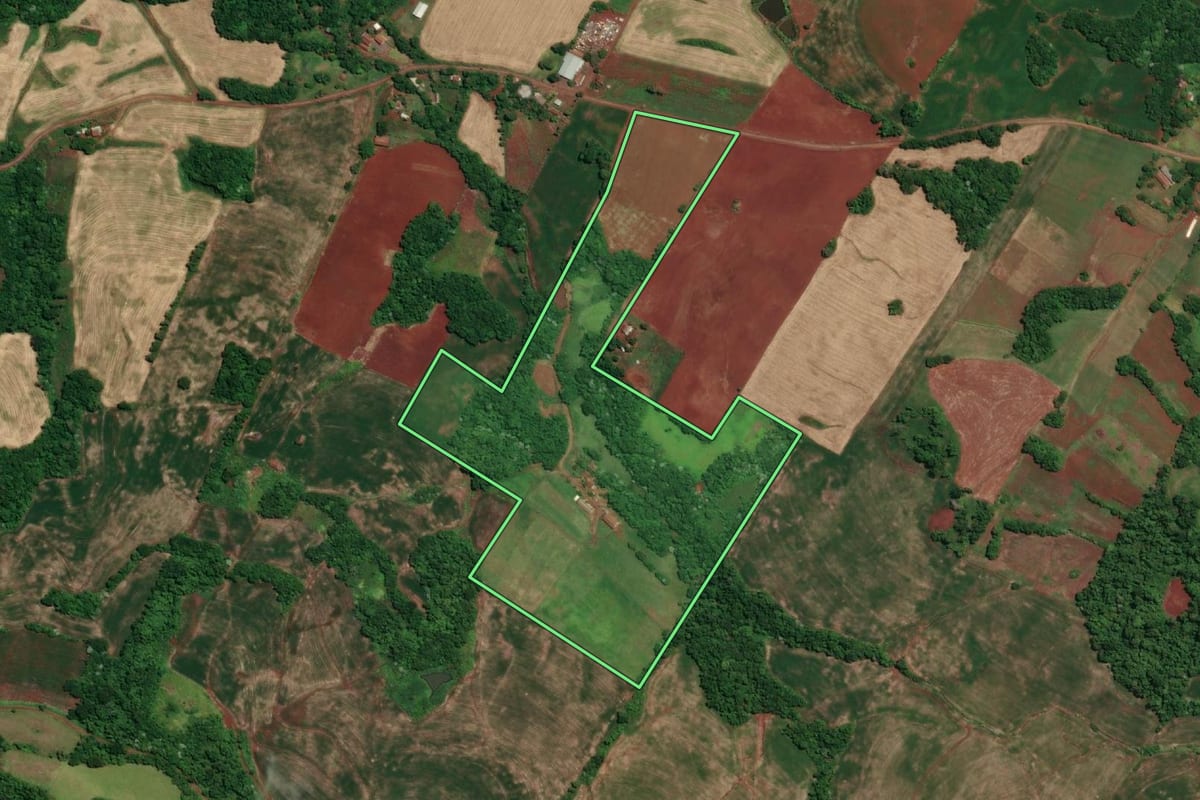 Imagem de satélite do imóvel rural em Novo Machado (RS), com o contorno declarado no CAR desenhado por cima.