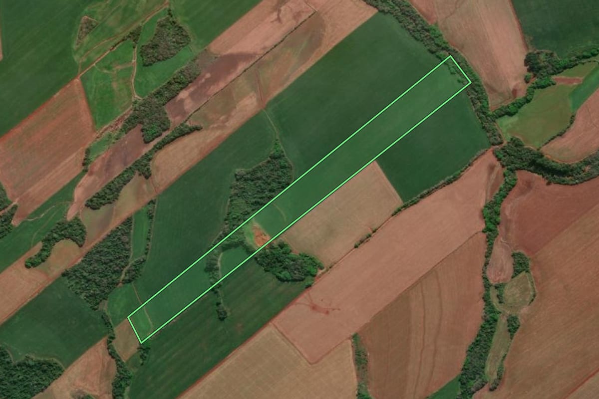 Imagem de satélite do imóvel rural em Novo Machado (RS), com o contorno declarado no CAR desenhado por cima.