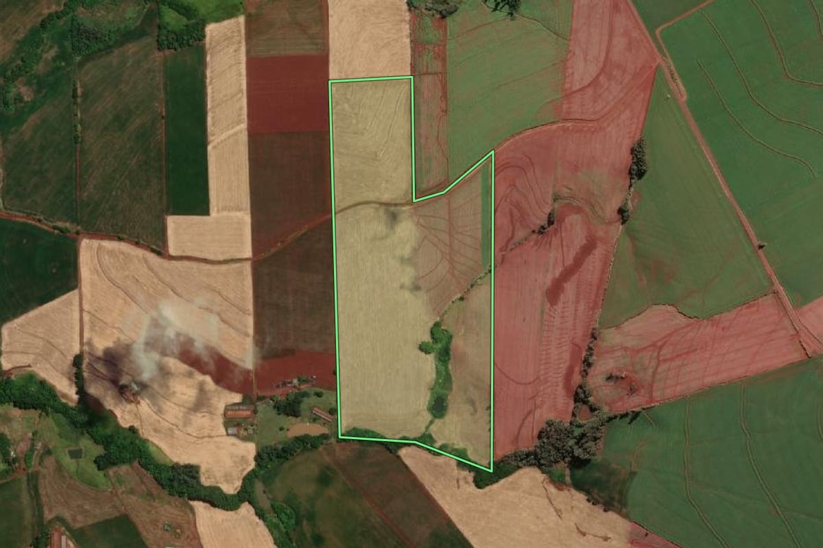 Imagem de satélite do imóvel rural em Novo Machado (RS), com o contorno declarado no CAR desenhado por cima.