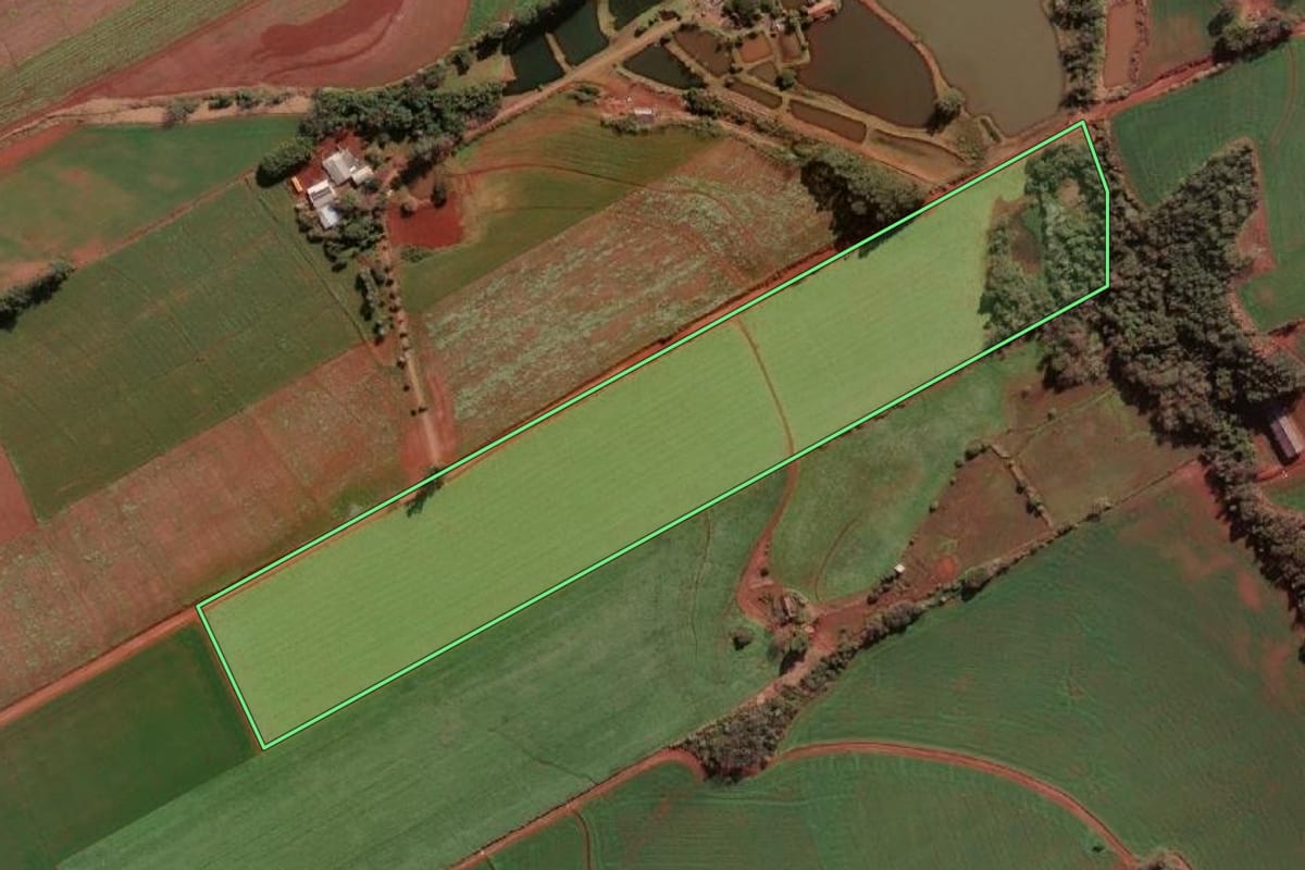 Imagem de satélite do imóvel rural em Novo Machado (RS), com o contorno declarado no CAR desenhado por cima.