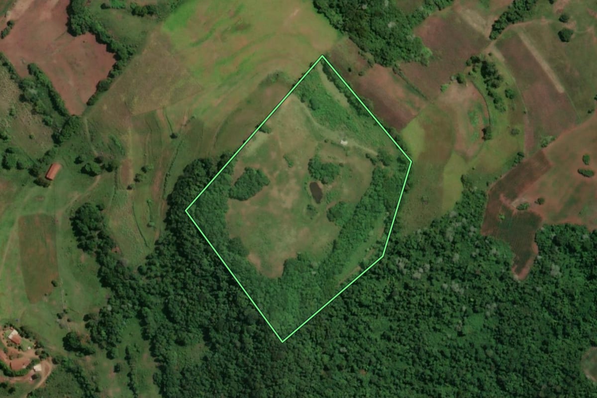 Imagem de satélite do imóvel rural em Novo Machado (RS), com o contorno declarado no CAR desenhado por cima.