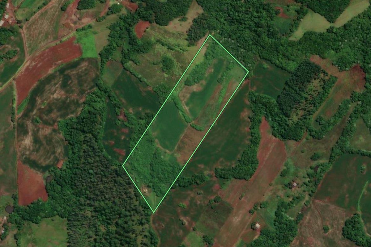 Imagem de satélite do imóvel rural em Novo Machado (RS), com o contorno declarado no CAR desenhado por cima.