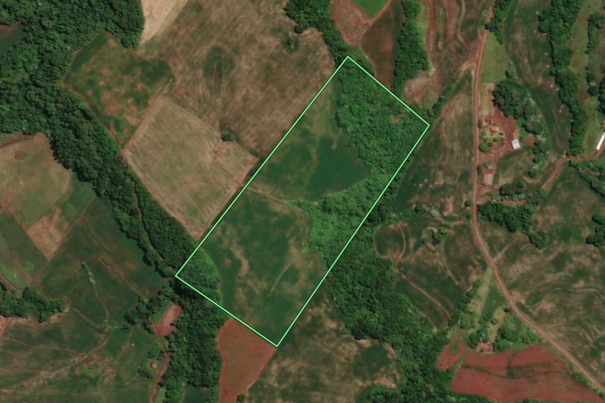 Imagem de satélite do imóvel rural em Novo Machado (RS), com o contorno declarado no CAR desenhado por cima.