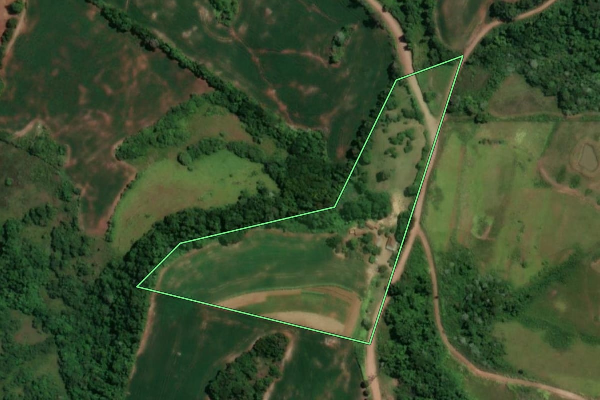 Imagem de satélite do imóvel rural em Novo Machado (RS), com o contorno declarado no CAR desenhado por cima.