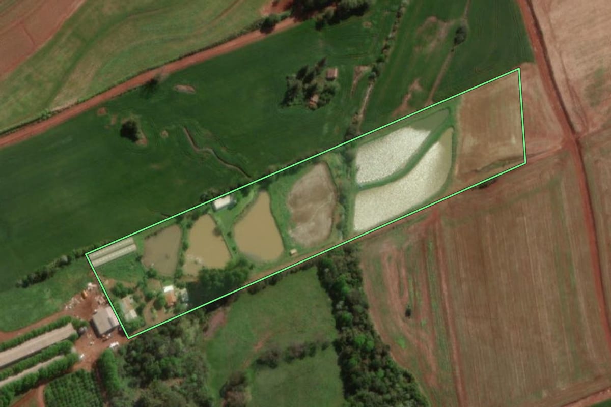 Imagem de satélite do imóvel rural em Novo Machado (RS), com o contorno declarado no CAR desenhado por cima.