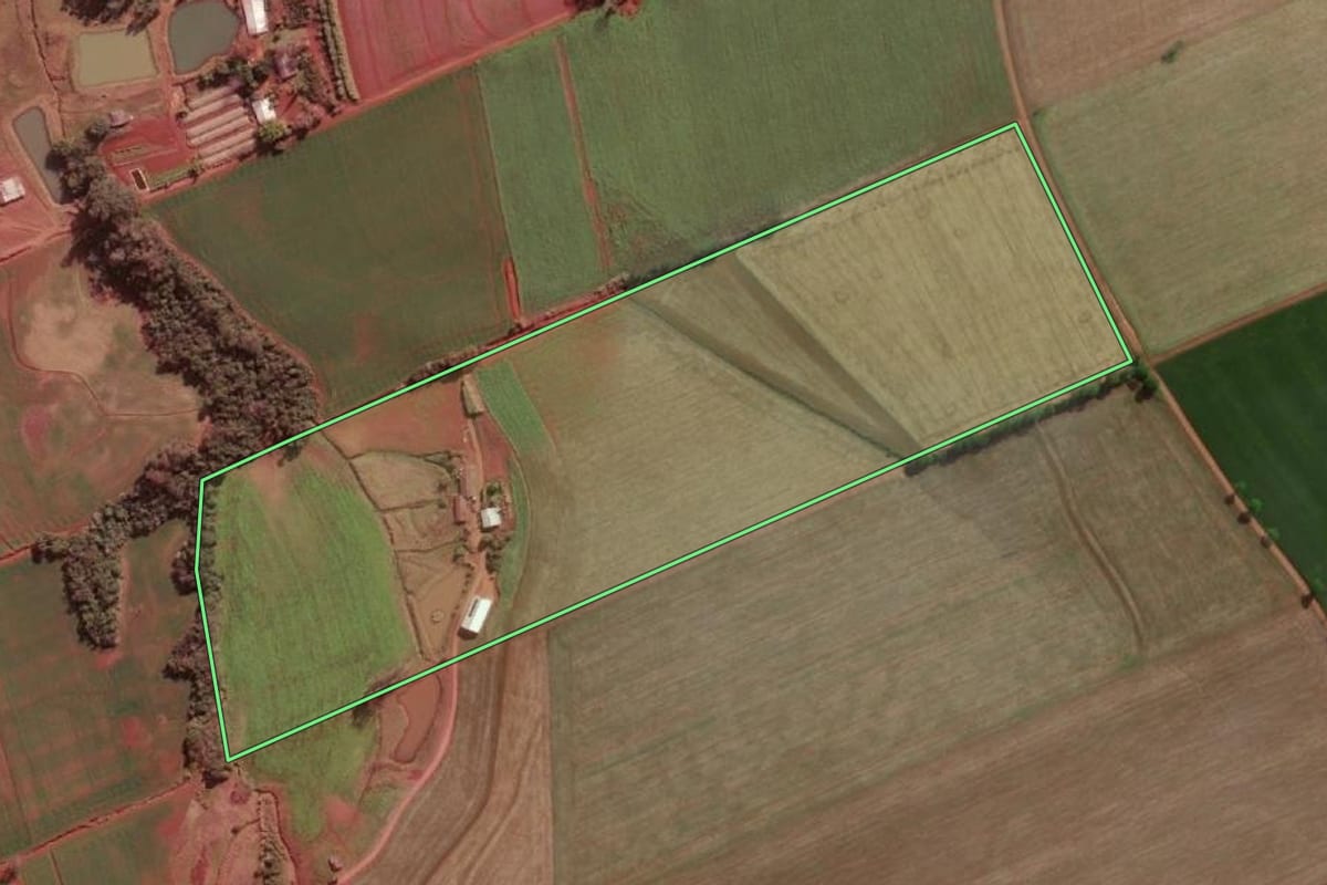 Imagem de satélite do imóvel rural em Novo Machado (RS), com o contorno declarado no CAR desenhado por cima.