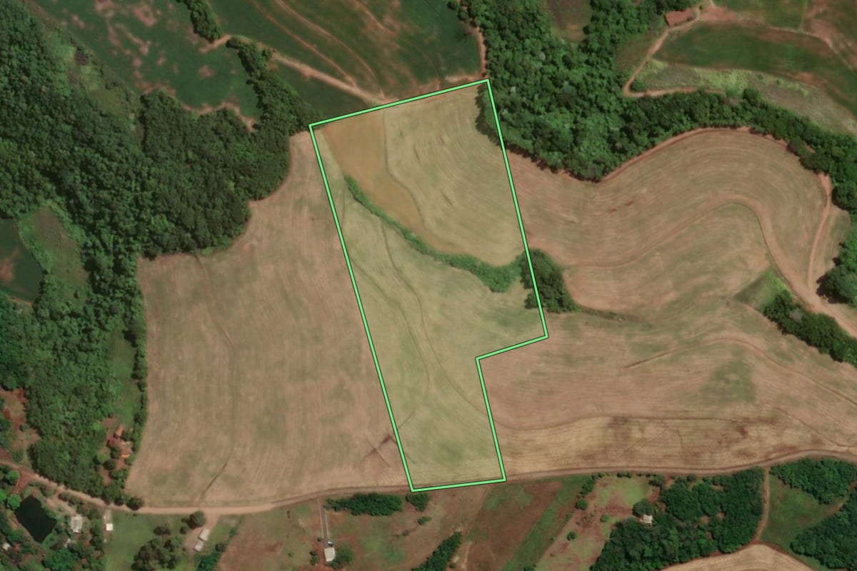 Imagem de satélite do imóvel rural em Novo Machado (RS), com o contorno declarado no CAR desenhado por cima.