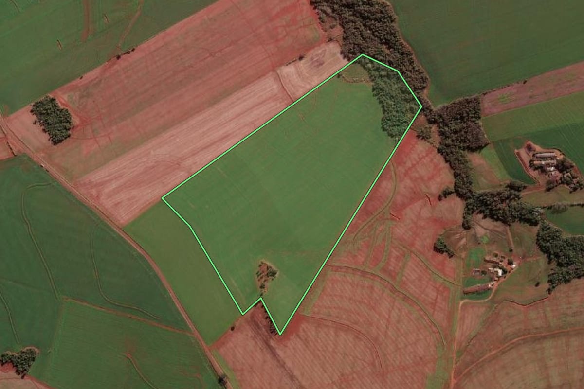 Imagem de satélite do imóvel rural em Novo Machado (RS), com o contorno declarado no CAR desenhado por cima.