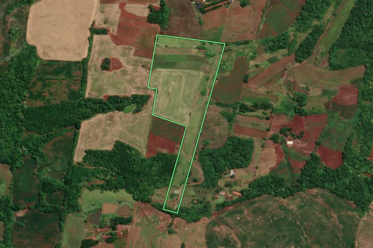 Imagem de satélite do imóvel rural em Novo Machado (RS), com o contorno declarado no CAR desenhado por cima.