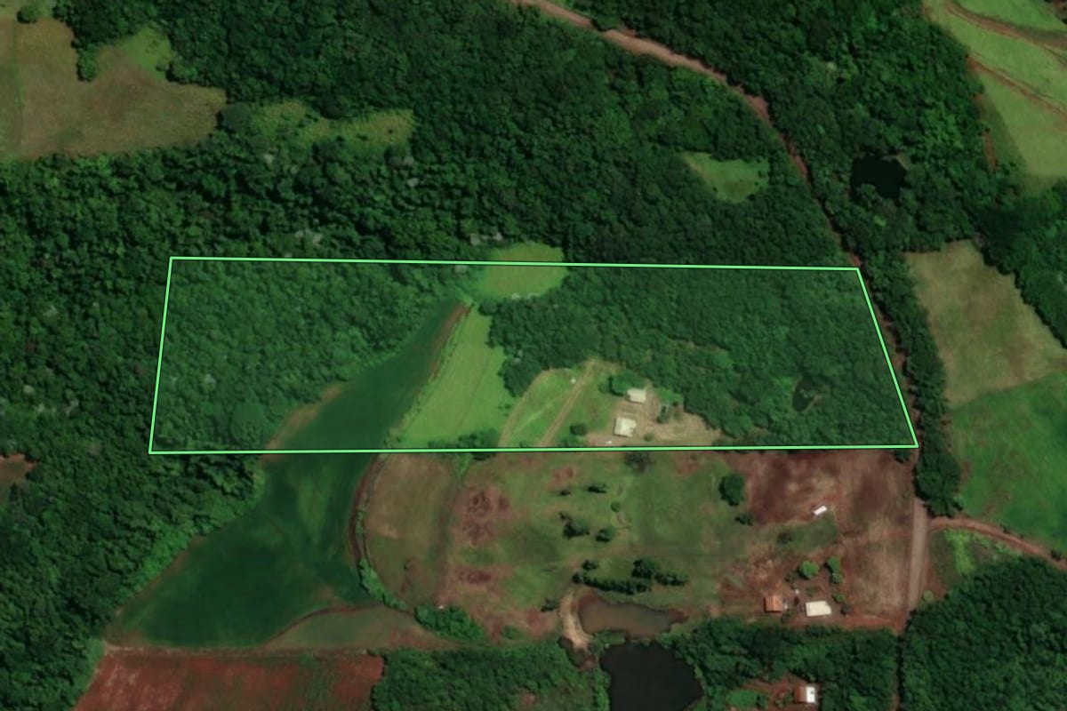 Imagem de satélite do imóvel rural em Novo Machado (RS), com o contorno declarado no CAR desenhado por cima.