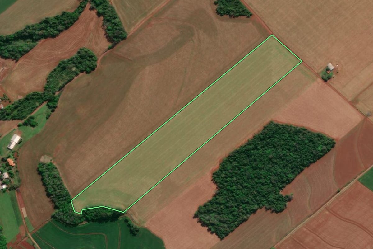 Imagem de satélite do imóvel rural em Novo Machado (RS), com o contorno declarado no CAR desenhado por cima.
