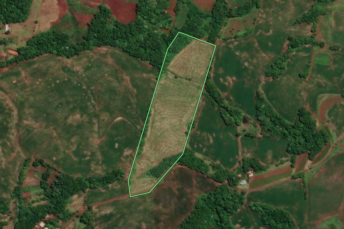 Imagem de satélite do imóvel rural em Novo Machado (RS), com o contorno declarado no CAR desenhado por cima.
