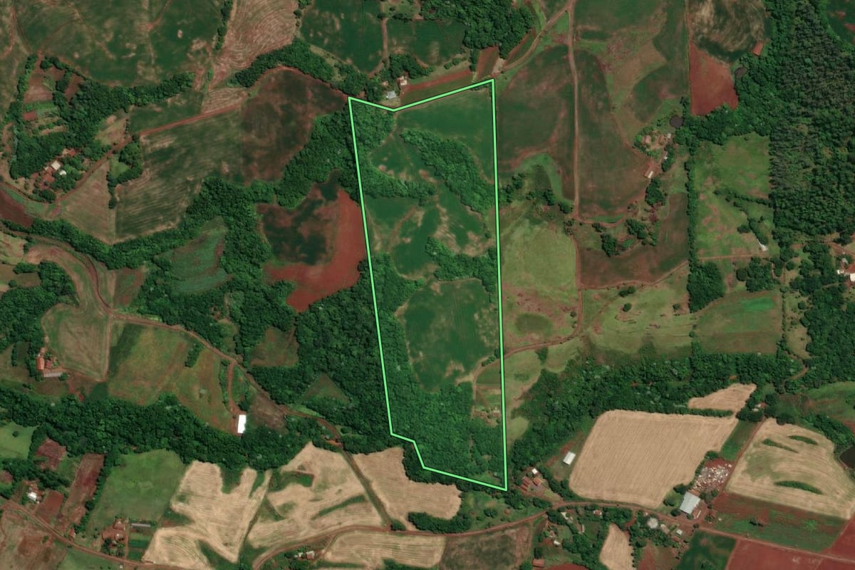 Imagem de satélite do imóvel rural em Novo Machado (RS), com o contorno declarado no CAR desenhado por cima.