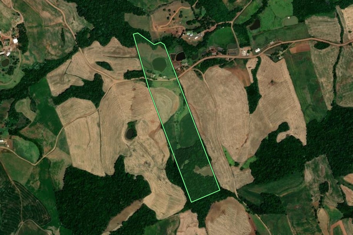 Imagem de satélite do imóvel rural em Novo Tiradentes (RS), com o contorno declarado no CAR desenhado por cima.