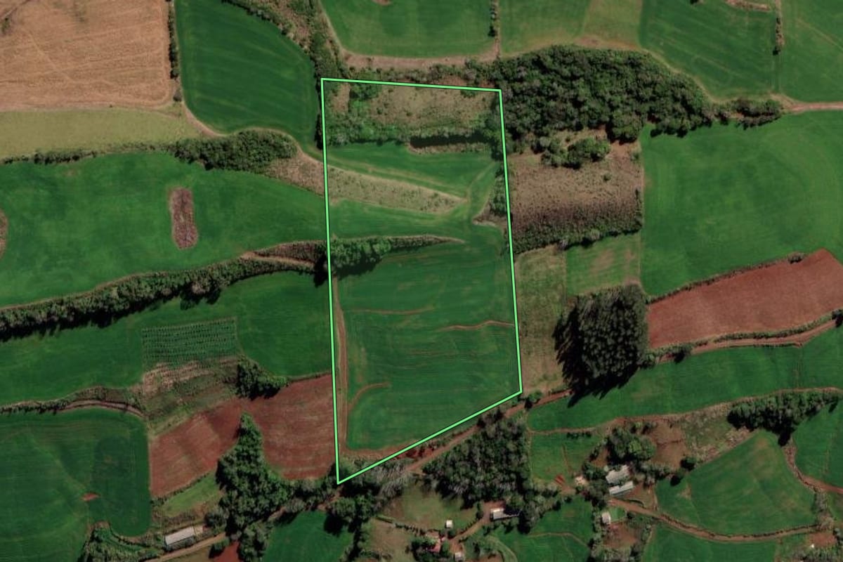 Imagem de satélite do imóvel rural em Novo Tiradentes (RS), com o contorno declarado no CAR desenhado por cima.