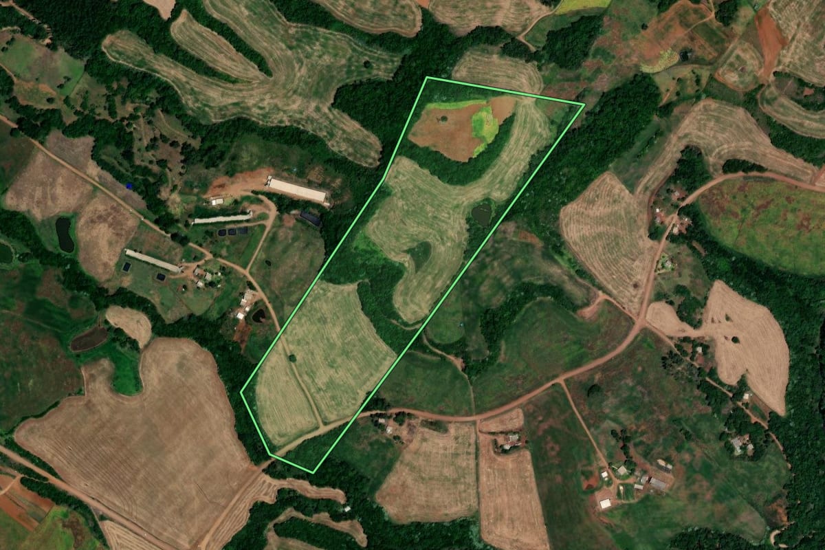 Imagem de satélite do imóvel rural em Novo Tiradentes (RS), com o contorno declarado no CAR desenhado por cima.