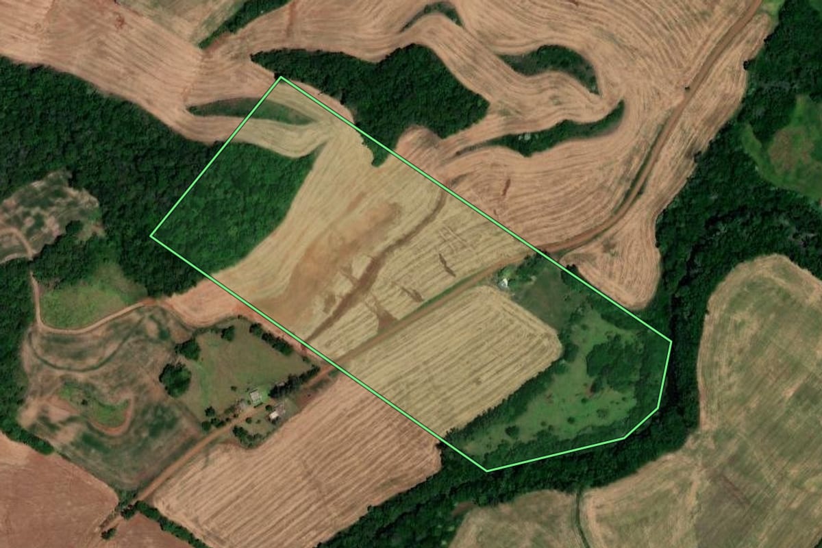 Imagem de satélite do imóvel rural em Novo Tiradentes (RS), com o contorno declarado no CAR desenhado por cima.