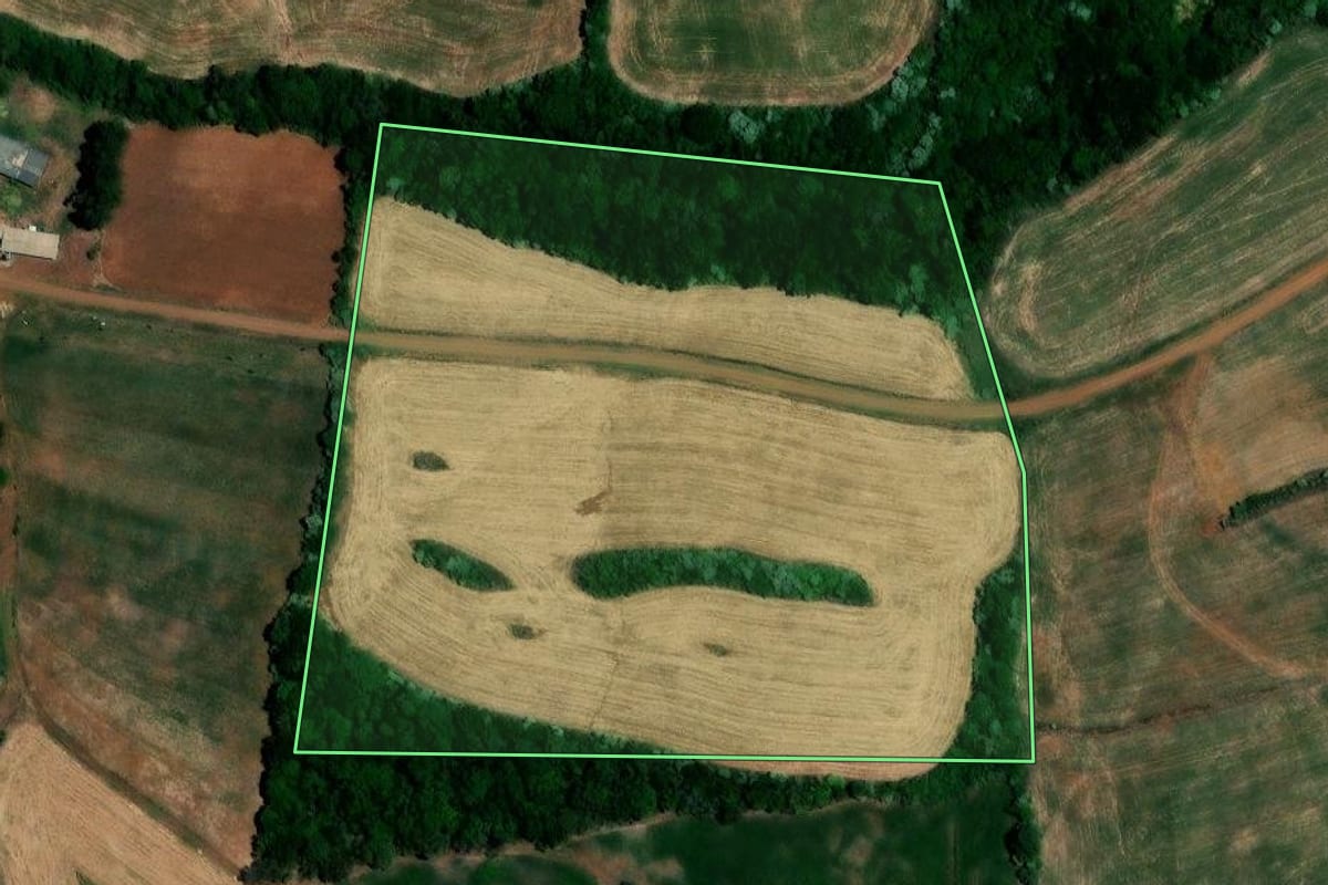 Imagem de satélite do imóvel rural em Novo Tiradentes (RS), com o contorno declarado no CAR desenhado por cima.