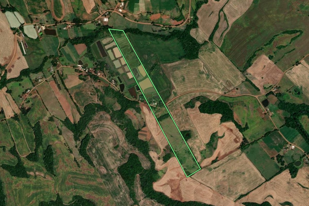Imagem de satélite do imóvel rural em Novo Tiradentes (RS), com o contorno declarado no CAR desenhado por cima.